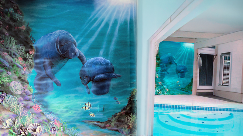 manatee slide