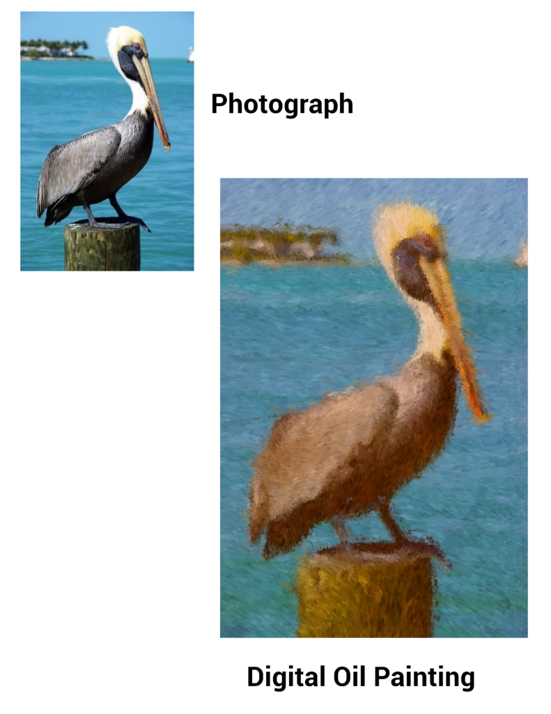 pelican